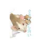 ラッツ！（個別スタンプ：4）