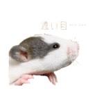 ラッツ！（個別スタンプ：8）