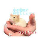 ラッツ！（個別スタンプ：10）