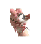 ラッツ！（個別スタンプ：11）