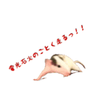 ラッツ！（個別スタンプ：12）