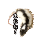 ラッツ！（個別スタンプ：13）