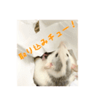 ラッツ！（個別スタンプ：16）