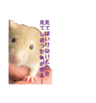 ラッツ！（個別スタンプ：23）