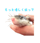 ラッツ！（個別スタンプ：25）