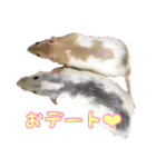 ラッツ！（個別スタンプ：29）