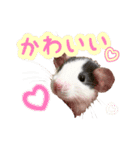 ラッツ！（個別スタンプ：32）