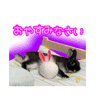 黒うさぎのたも丸くんPart2（個別スタンプ：4）