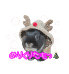 黒うさぎのたも丸くんPart2（個別スタンプ：31）