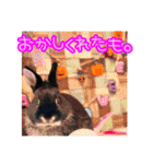 黒うさぎのたも丸くんPart2（個別スタンプ：35）