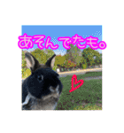 黒うさぎのたも丸くんPart2（個別スタンプ：36）