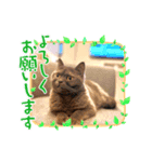 私は私が好きだ（個別スタンプ：2）