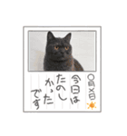 私は私が好きだ（個別スタンプ：4）