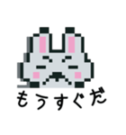 おじうさぎ  (ドット絵)（個別スタンプ：20）