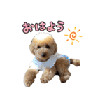 むぎはなスタンプ（個別スタンプ：24）