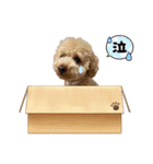 むぎはなスタンプ（個別スタンプ：32）