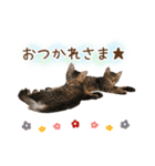 凪テトの毎日スタンプ（個別スタンプ：3）