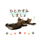 凪テトの毎日スタンプ（個別スタンプ：4）
