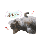 凪テトの毎日スタンプ（個別スタンプ：9）