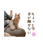 凪テトの毎日スタンプ（個別スタンプ：13）