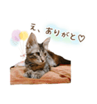 凪テトの毎日スタンプ（個別スタンプ：20）