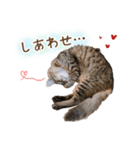 凪テトの毎日スタンプ（個別スタンプ：22）