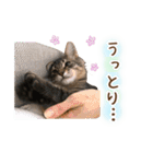 凪テトの毎日スタンプ（個別スタンプ：24）