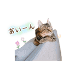 凪テトの毎日スタンプ（個別スタンプ：26）