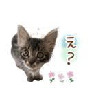 凪テトの毎日スタンプ（個別スタンプ：27）