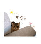 凪テトの毎日スタンプ（個別スタンプ：30）