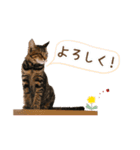凪テトの毎日スタンプ（個別スタンプ：32）