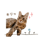 凪テトの毎日スタンプ（個別スタンプ：33）