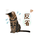 凪テトの毎日スタンプ（個別スタンプ：37）