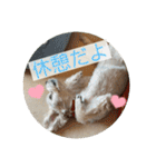 はなとそらスタンプ⑤（個別スタンプ：26）