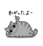 もちゃねこサバトラ（個別スタンプ：8）