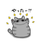 もちゃねこサバトラ（個別スタンプ：13）