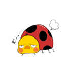 コスぴよ（個別スタンプ：5）
