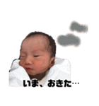 らいるいれいすたんぷ（個別スタンプ：23）