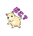 ハムスター1 HAMSTER-1（個別スタンプ：7）