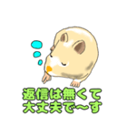 ハムスター1 HAMSTER-1（個別スタンプ：10）