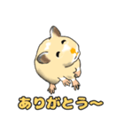 ハムスター1 HAMSTER-1（個別スタンプ：12）