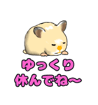 ハムスター1 HAMSTER-1（個別スタンプ：20）