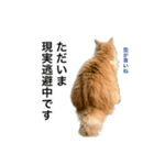 営業もふねこのつぶやき（個別スタンプ：13）