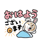 柴犬りくちん★2（個別スタンプ：17）