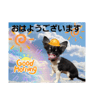 akis stamp（個別スタンプ：1）