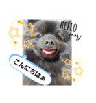 akis stamp（個別スタンプ：2）