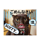 akis stamp（個別スタンプ：5）
