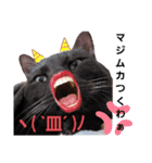 akis stamp（個別スタンプ：10）