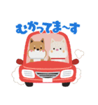 柴犬 らむ♡るん♡（個別スタンプ：12）