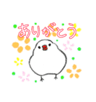 もっちり文鳥。クレヨン風（個別スタンプ：5）